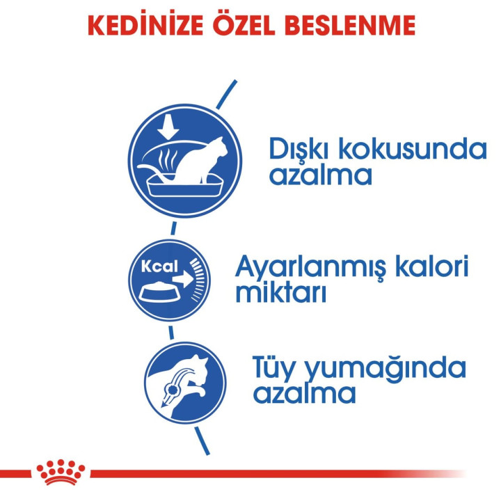 Indoor 27 Yetişkin Kedi Kuru Maması 2 kg