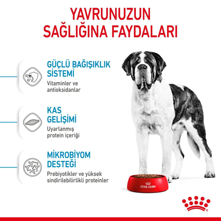 Giant Junior Yavru Köpek Kuru Maması 15 kg