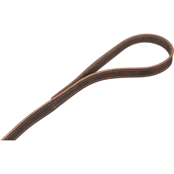 Rustic Greased-Leather Dog Lead