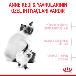 Mother And Babycat Anne ve Yavru Kedi Kuru Maması 2 kg