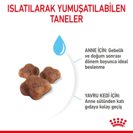 Mother And Babycat Anne ve Yavru Kedi Kuru Maması 2 kg