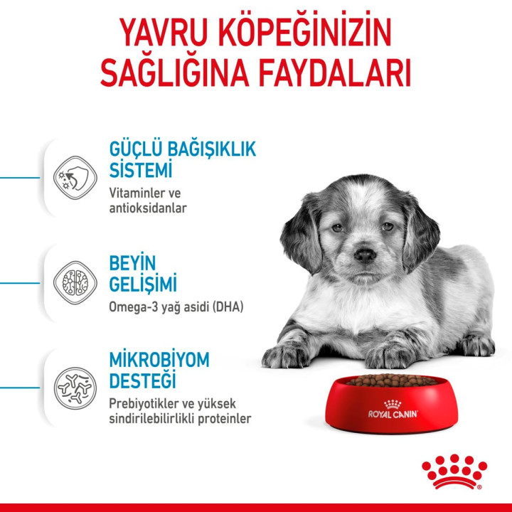 Medium Puppy Yavru Köpek Kuru Maması 4 kg