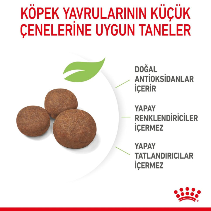 Medium Puppy Yavru Köpek Kuru Maması 4 kg