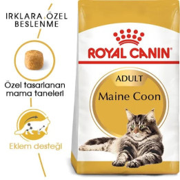 Maine Coon Adult Yetişkin Kedi Kuru Maması 2 kg