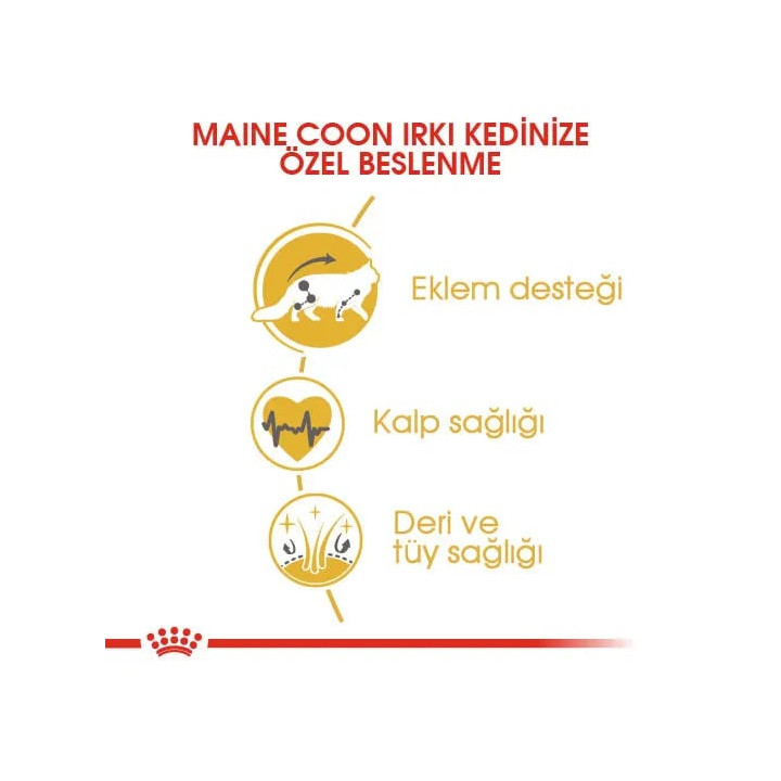 Maine Coon Adult Yetişkin Kedi Kuru Maması 2 kg