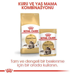 Maine Coon Adult Yetişkin Kedi Kuru Maması 2 kg