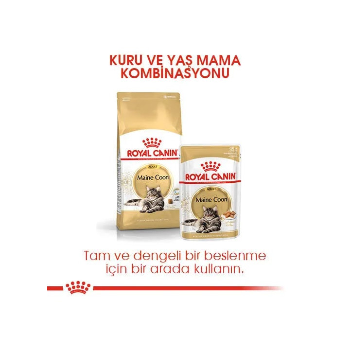 Maine Coon Adult Yetişkin Kedi Kuru Maması 2 kg