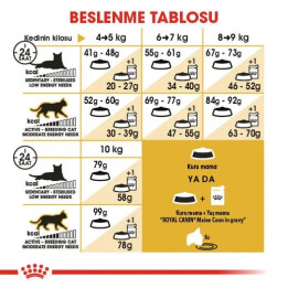 Maine Coon Adult Yetişkin Kedi Kuru Maması 2 kg
