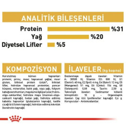 Maine Coon Adult Yetişkin Kedi Kuru Maması 2 kg