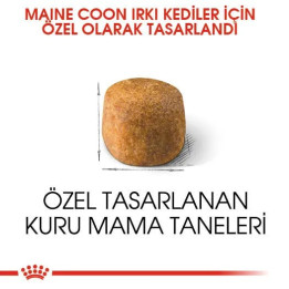 Maine Coon Adult Yetişkin Kedi Kuru Maması 2 kg