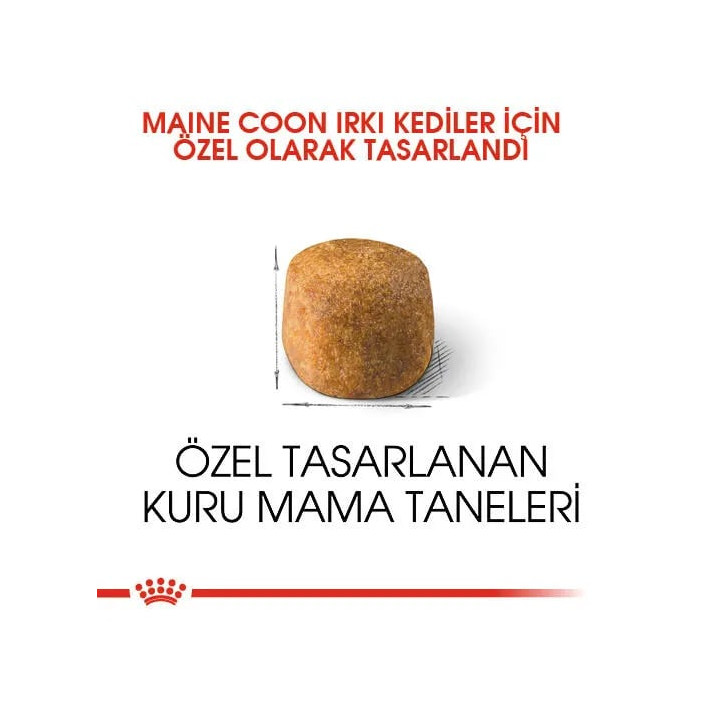 Maine Coon Adult Yetişkin Kedi Kuru Maması 2 kg