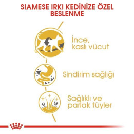 Siamese Adult Yetişkin Kedi Kuru Maması 2 kg
