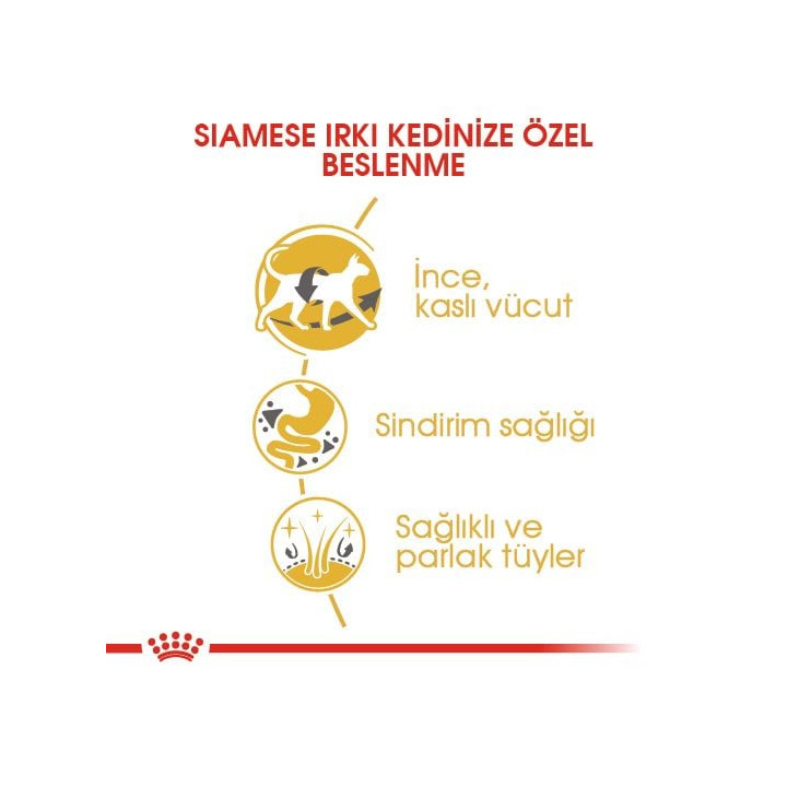 Siamese Adult Yetişkin Kedi Kuru Maması 2 kg