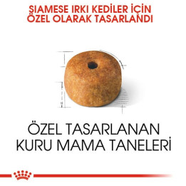 Siamese Adult Yetişkin Kedi Kuru Maması 2 kg