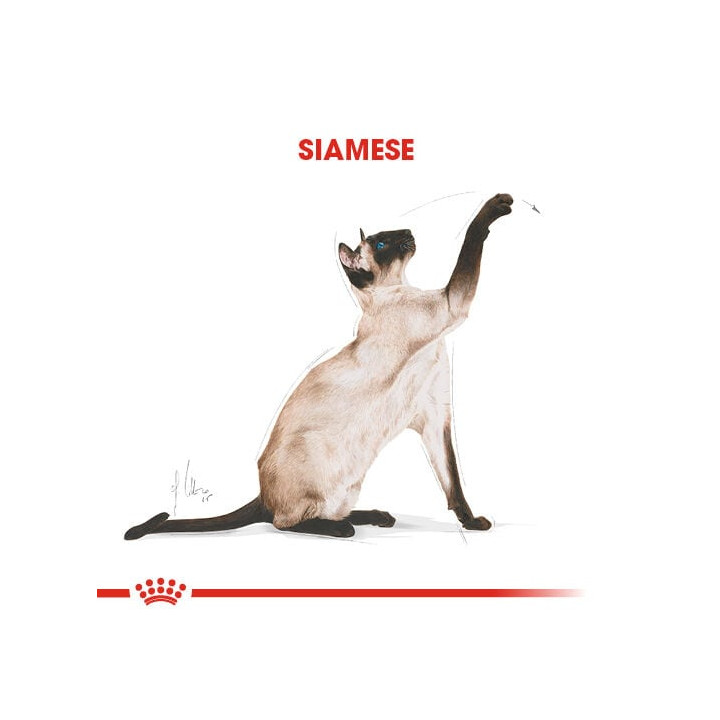 Siamese Adult Yetişkin Kedi Kuru Maması 2 kg