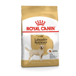 Labrador Retriever Adult Yetişkin Köpek Kuru Maması 12 kg