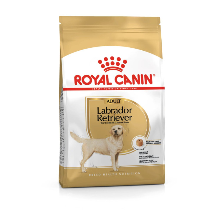 Labrador Retriever Adult Yetişkin Köpek Kuru Maması 12 kg