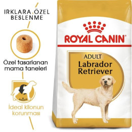 Labrador Retriever Adult Yetişkin Köpek Kuru Maması 12 kg
