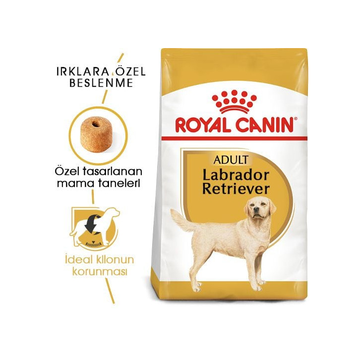 Labrador Retriever Adult Yetişkin Köpek Kuru Maması 12 kg