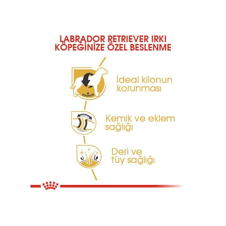 Labrador Retriever Adult Yetişkin Köpek Kuru Maması 12 kg