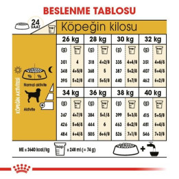 Labrador Retriever Adult Yetişkin Köpek Kuru Maması 12 kg