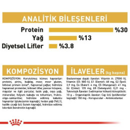 Labrador Retriever Adult Yetişkin Köpek Kuru Maması 12 kg