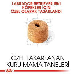 Labrador Retriever Adult Yetişkin Köpek Kuru Maması 12 kg