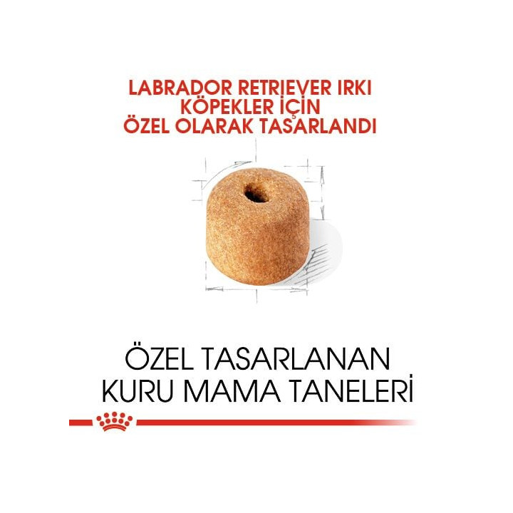 Labrador Retriever Adult Yetişkin Köpek Kuru Maması 12 kg