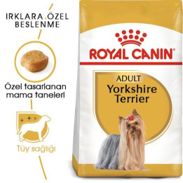 Yorkshire Terrier Adult Yetişkin Köpek Kuru Maması 1.5 kg
