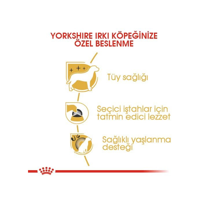 Yorkshire Terrier Adult Yetişkin Köpek Kuru Maması 1.5 kg