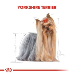 Yorkshire Terrier Adult Yetişkin Köpek Kuru Maması 1.5 kg