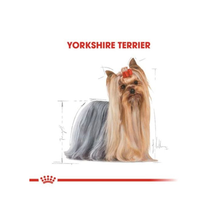 Yorkshire Terrier Adult Yetişkin Köpek Kuru Maması 1.5 kg