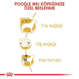 Poodle Adult Yetişkin Köpek Kuru Maması 7.5 kg