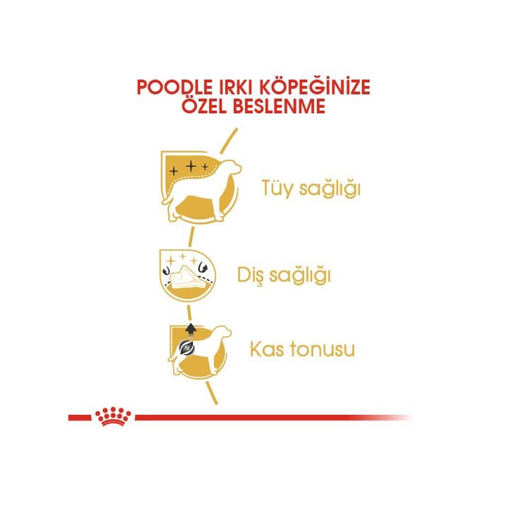 Poodle Adult Yetişkin Köpek Kuru Maması 7.5 kg