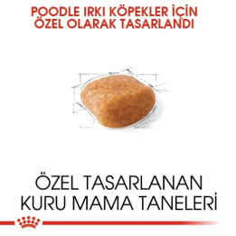 Poodle Adult Yetişkin Köpek Kuru Maması 7.5 kg