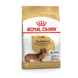 Dachshund Adult Yetişkin Köpek Kuru Maması 1.5 kg