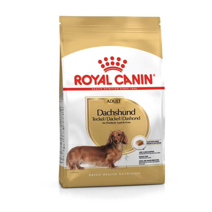 Dachshund Adult Yetişkin Köpek Kuru Maması 1.5 kg