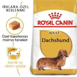 Dachshund Adult Yetişkin Köpek Kuru Maması 1.5 kg