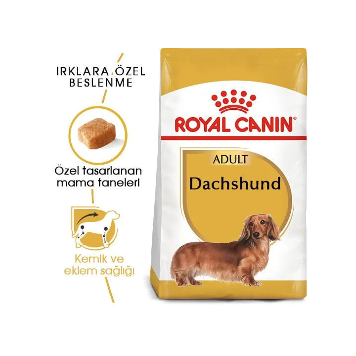 Dachshund Adult Yetişkin Köpek Kuru Maması 1.5 kg