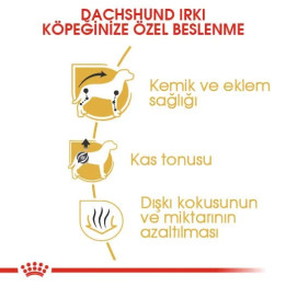 Dachshund Adult Yetişkin Köpek Kuru Maması 1.5 kg