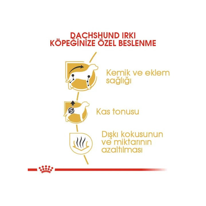 Dachshund Adult Yetişkin Köpek Kuru Maması 1.5 kg