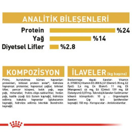 Dachshund Adult Yetişkin Köpek Kuru Maması 1.5 kg
