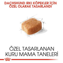 Dachshund Adult Yetişkin Köpek Kuru Maması 1.5 kg