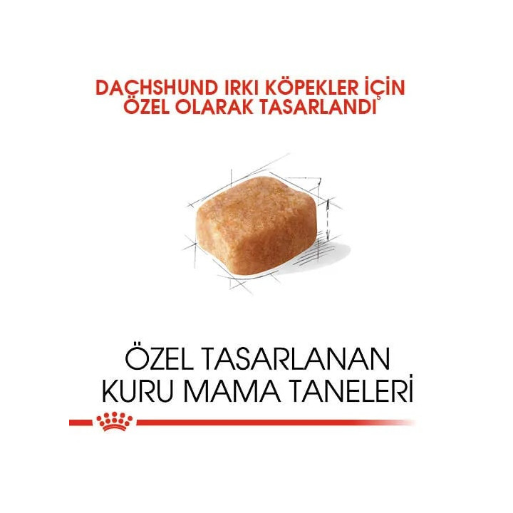 Dachshund Adult Yetişkin Köpek Kuru Maması 1.5 kg