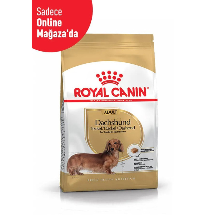 Dachshund Adult Yetişkin Köpek Kuru Maması 1.5 kg