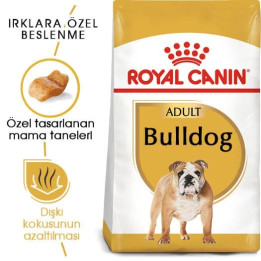 Bulldog Adult Yetişkin Köpek Kuru Maması 12 kg