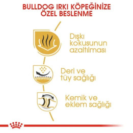 Bulldog Adult Yetişkin Köpek Kuru Maması 12 kg