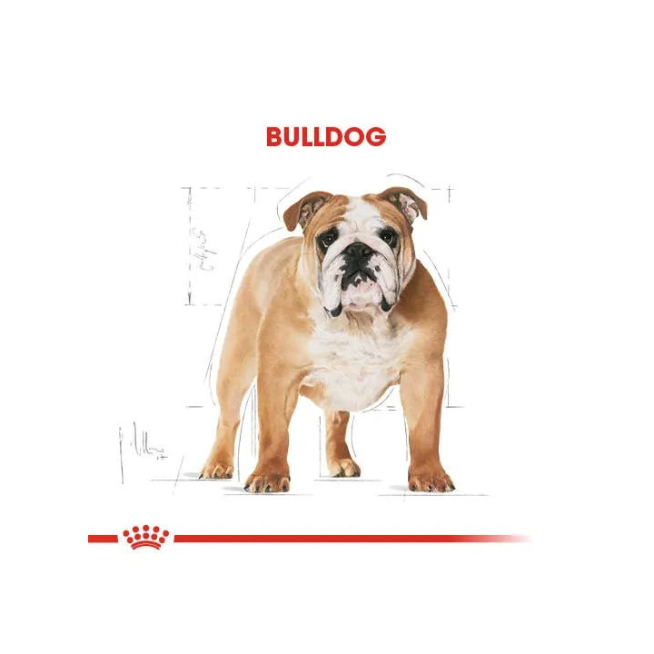 Bulldog Adult Yetişkin Köpek Kuru Maması 12 kg