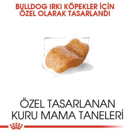 Bulldog Adult Yetişkin Köpek Kuru Maması 12 kg