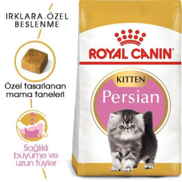 Persian Kitten Yavru Kedi Kuru Maması 2 kg